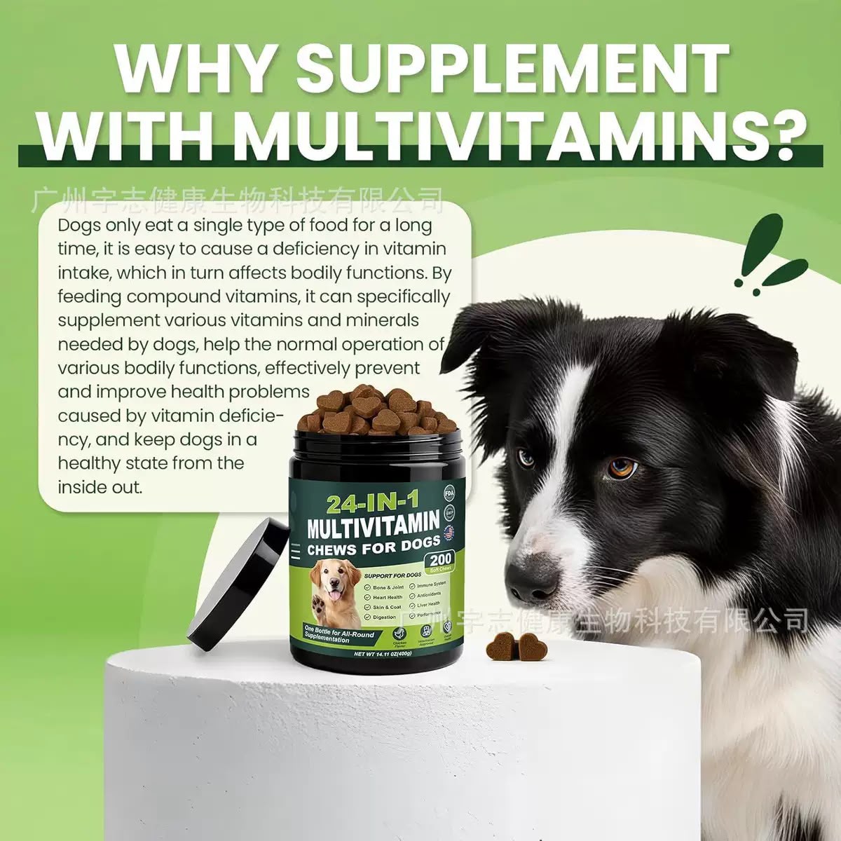 24 in 1 Multivitamin Chews