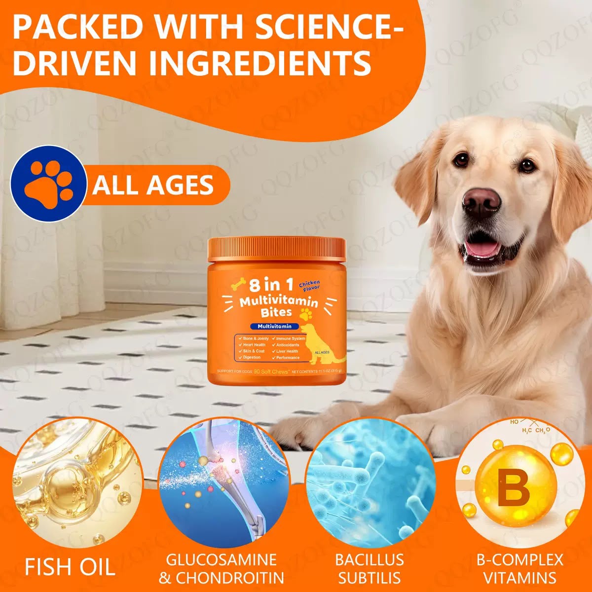 Dog health guidance