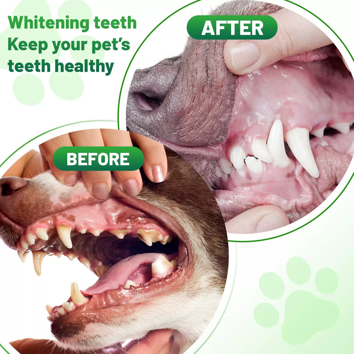 Pet Dental Cleaning Powder
